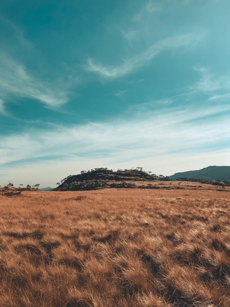 A photo of a dramatic grassland in Scotland with mountains in the background. The sky is very blue.